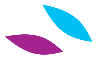 Isabelle Baudry - Coach formatrice ComColors, bilan de compétences - Niort 79